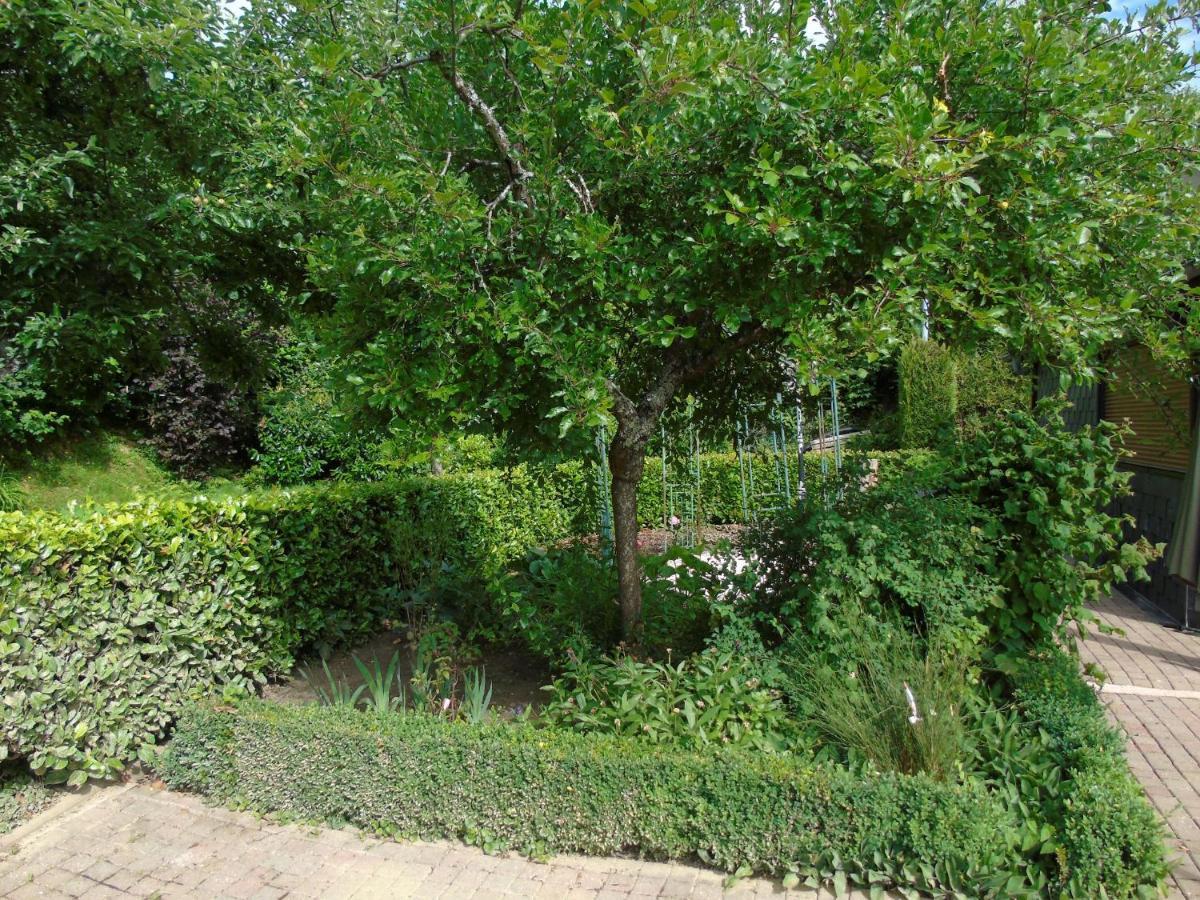 Maison L'Hirondelle Rustique A Tournavaux Buitenkant foto
