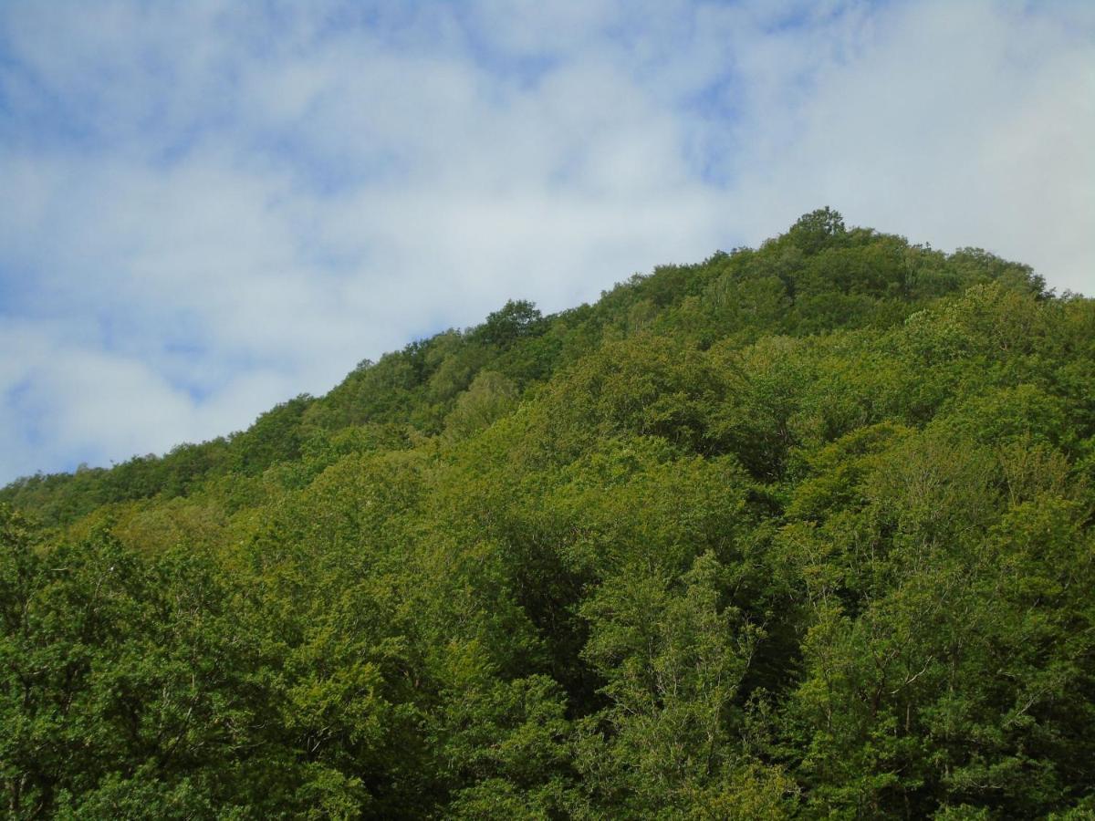 Maison L'Hirondelle Rustique A Tournavaux Buitenkant foto